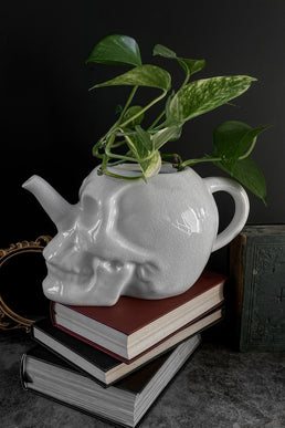 Cranium Plant Pot - Resurrect