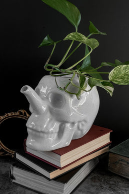 Cranium Plant Pot - Resurrect