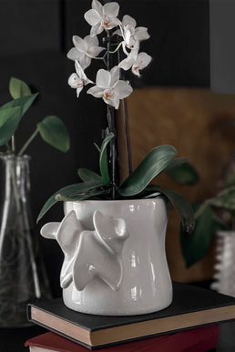 Ossuary Planter [WHITE]