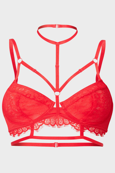 Buy Victoria's Secret Lipstick Red Lace T-Shirt Push Up Bra from Next  Hungary